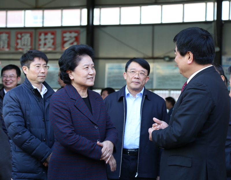 中共中央政治局委員、國務(wù)院副總理劉延?xùn)|在教育部副部長朱之文，四川省教育廳廳長朱世宏等陪同下視察四川應(yīng)用技術(shù)職業(yè)學(xué)院_副本.jpg